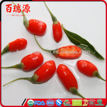 Nova colheita goji berry goji berry fiyat goji berry com preço barato